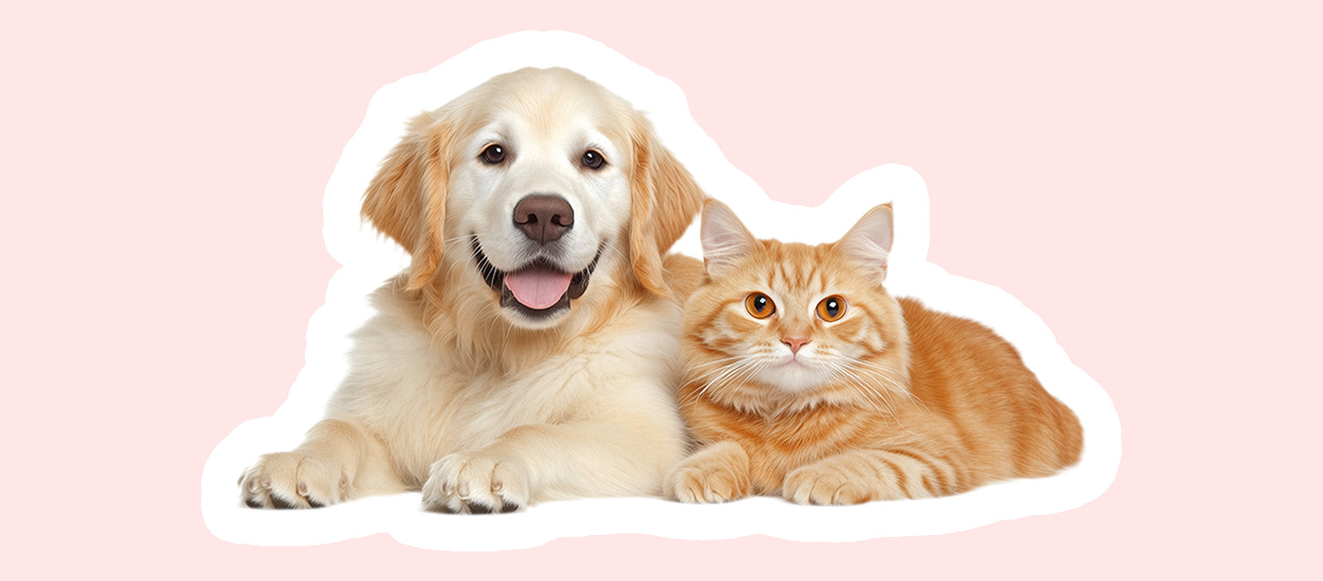 unique pet supplies dog travel supplies pet shop online dog supplies pet stores cat clothes pet products pet supplies dog travel water bottle