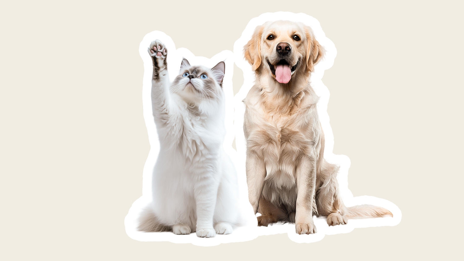 unique pet supplies dog travel supplies 	pet shop online dog supplies pet stores cat clothes  pet products 	pet supplies dog travel water bottle