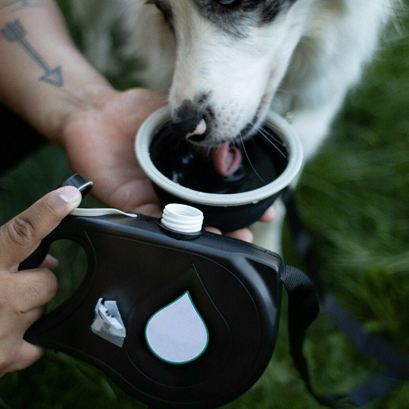 3 - in - 1 Portable Pet Traction Rope with Built - in Water Bottle - Ideal Dog Walking Leash - ispetlove