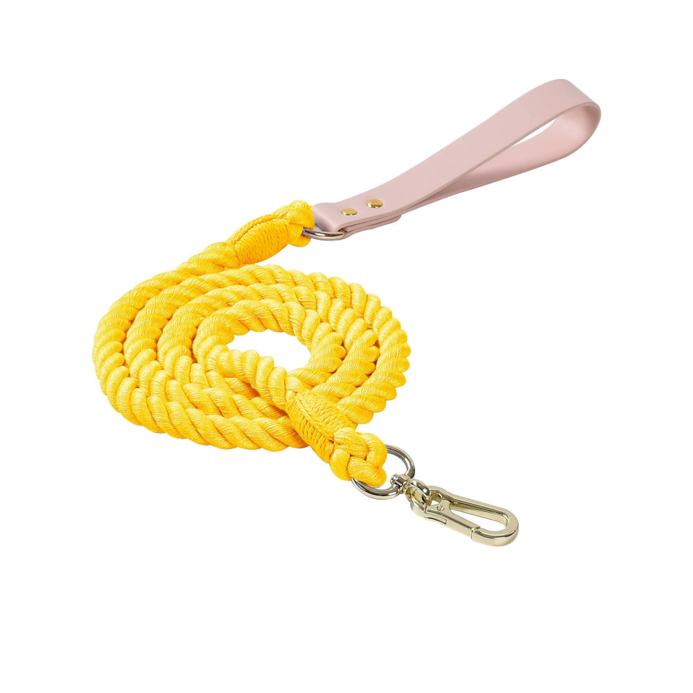 Best dog leashes for small/medium/large dogs - ispetlove