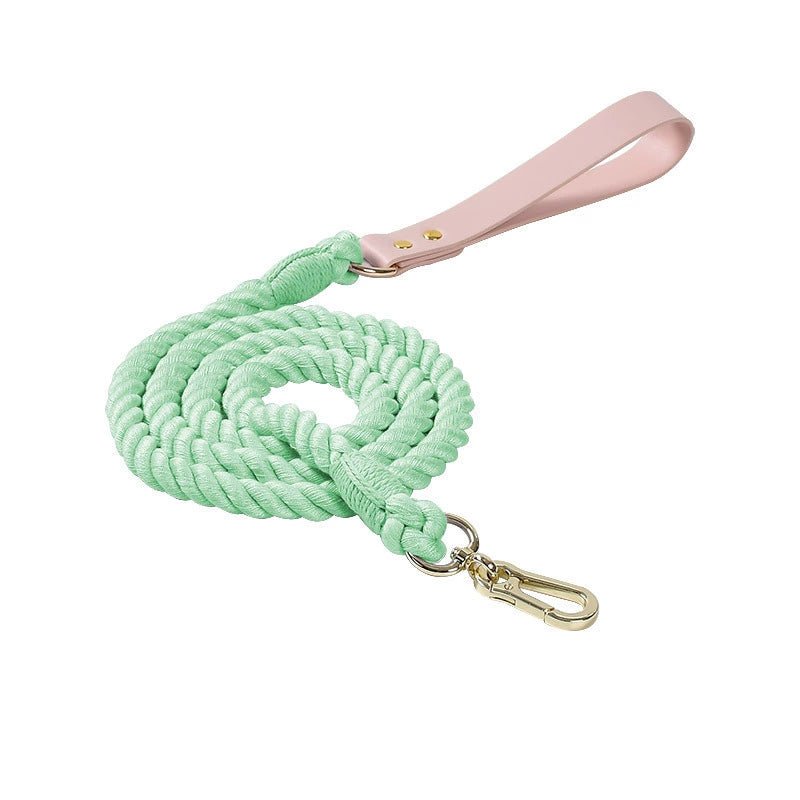 Best dog leashes for small/medium/large dogs - ispetlove