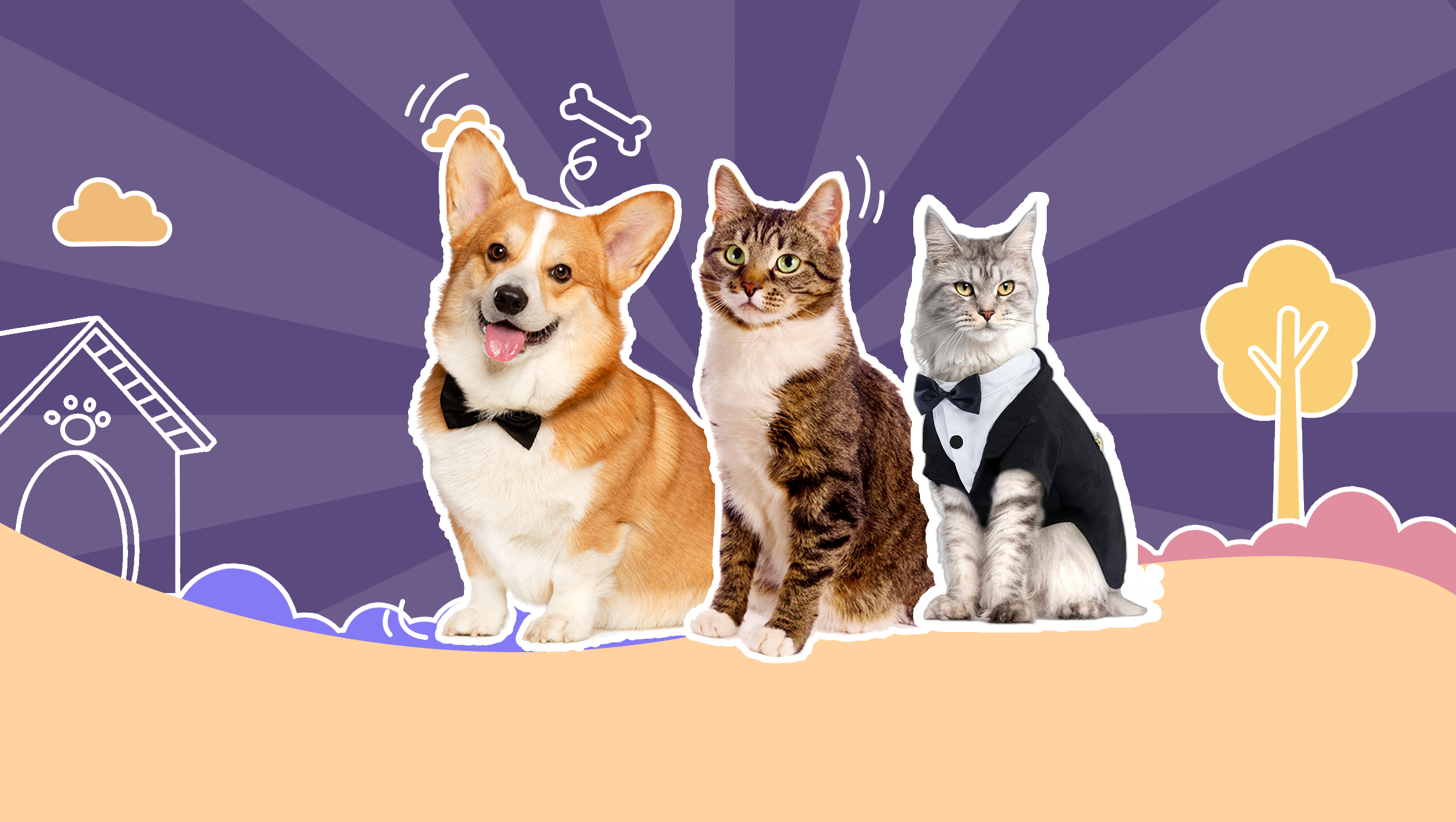 unique pet supplies dog travel supplies 	pet shop online dog supplies pet stores cat clothes  pet products 	pet supplies dog travel water bottle